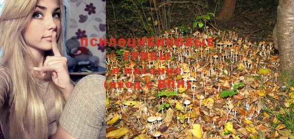 PSILOCYBIN Балахна