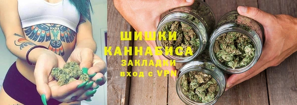 PSILOCYBIN Балахна