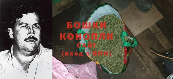 PSILOCYBIN Балахна