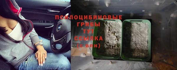 каннабис Баксан